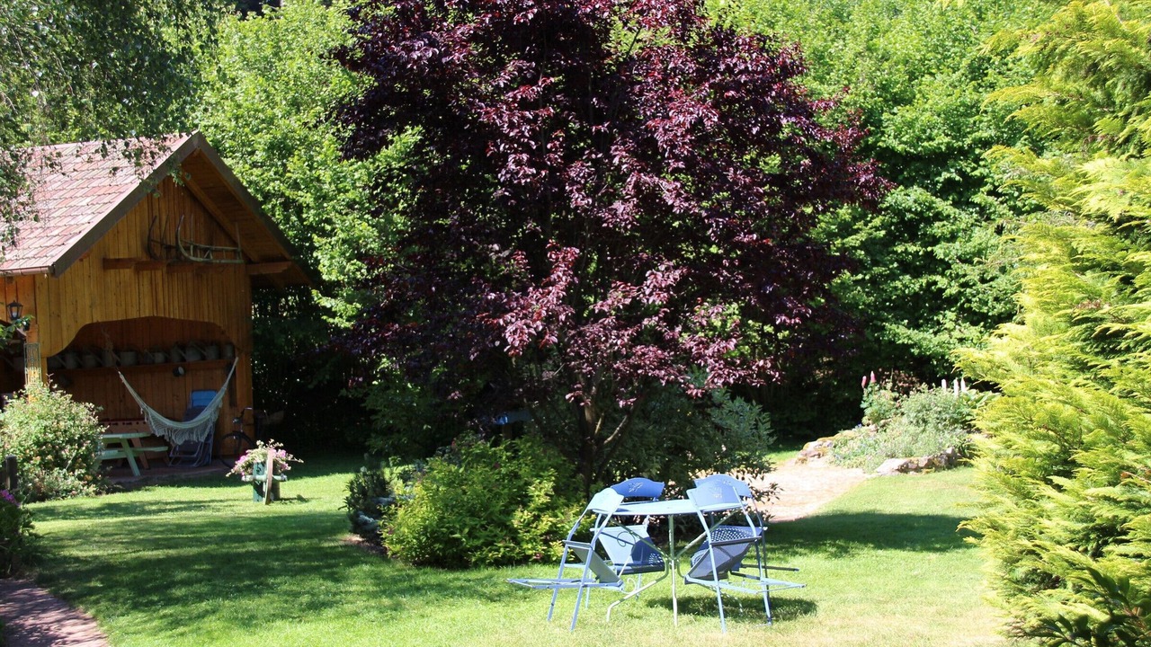 Photo of Outdoor in Provencheres-sur-Fave