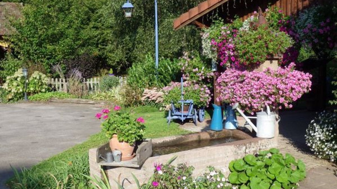 Photo of Outdoor in Provencheres-sur-Fave