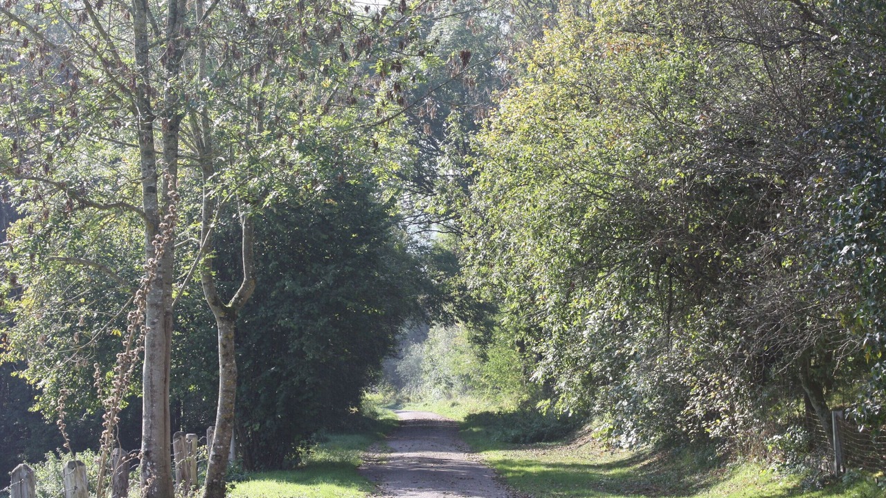 Photo of Others in Saint-Ouen-les-Parey