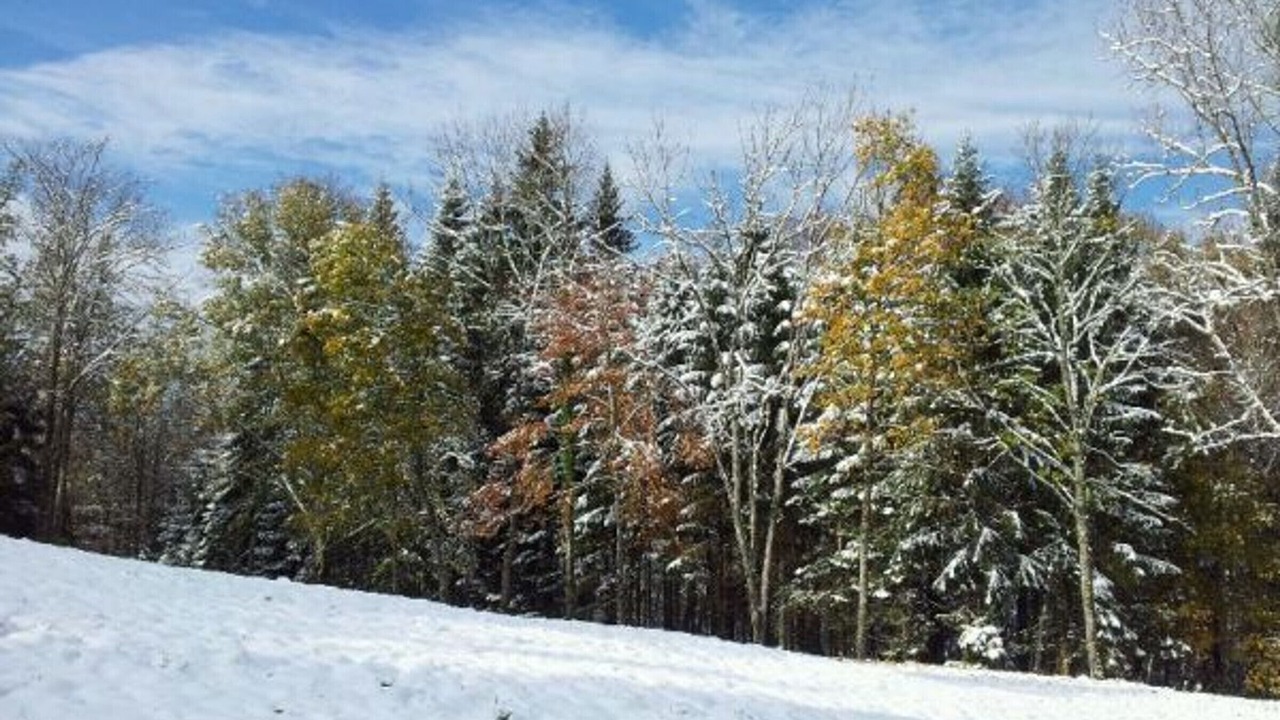 Photo of Outdoor in Granges-Aumontzey