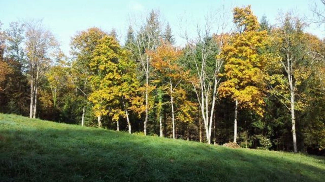 Photo of Outdoor in Granges-Aumontzey