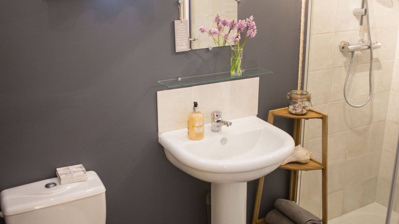 Photo of Bathroom in Saint-Alban-des-Hurtieres