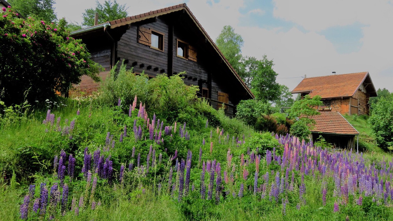Photo of Outdoor in Le Tholy