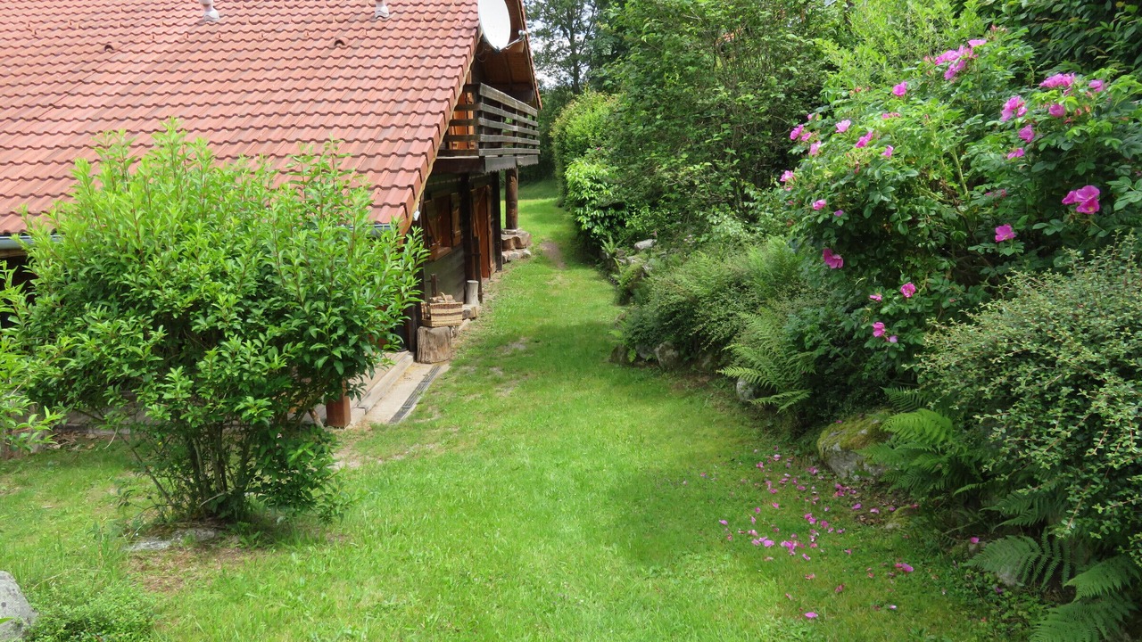 Photo of Outdoor in Le Tholy