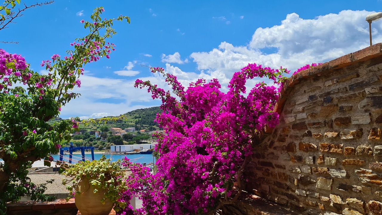 Photo of Outdoor in Port-Vendres