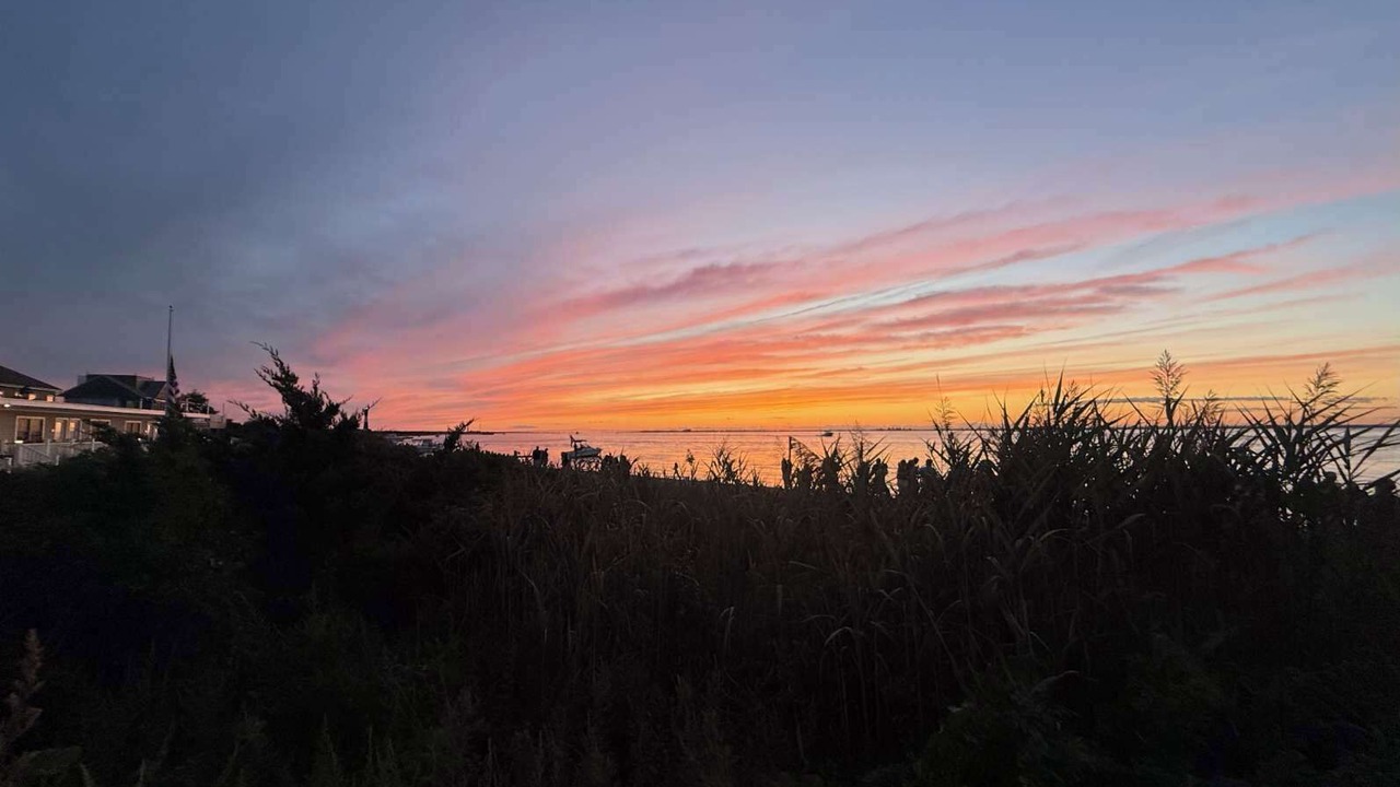 Photo of Others in Kismet