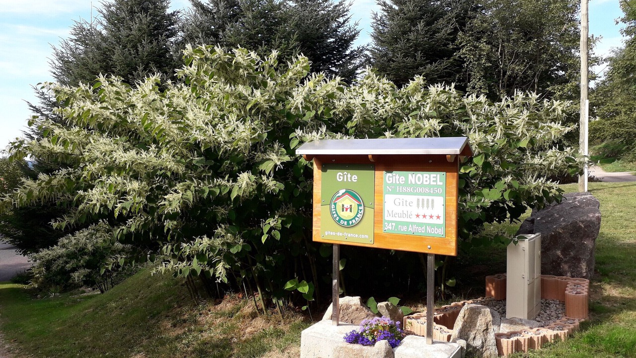 Photo of Outdoor in Anould