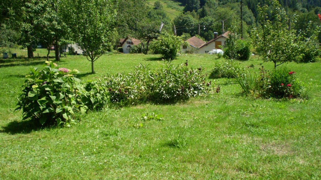 Photo of Outdoor in Rehaupal