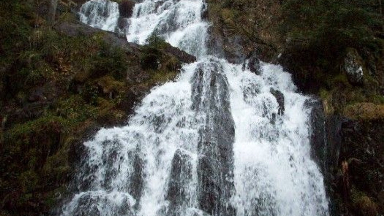 Photo of Outdoor in Rehaupal