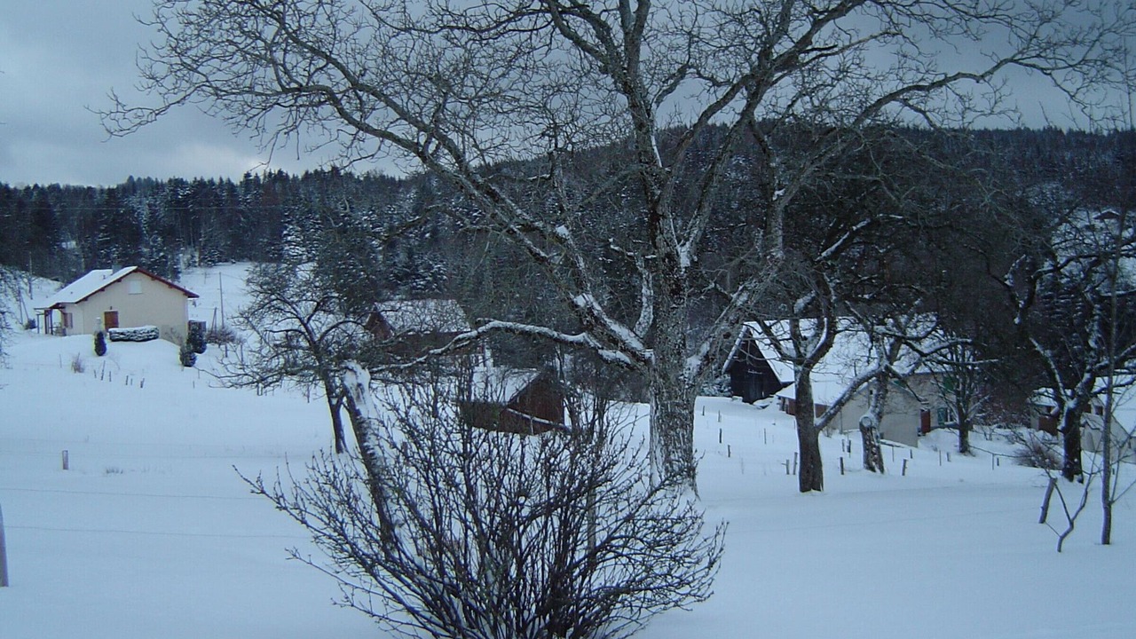 Photo of Outdoor in Rehaupal