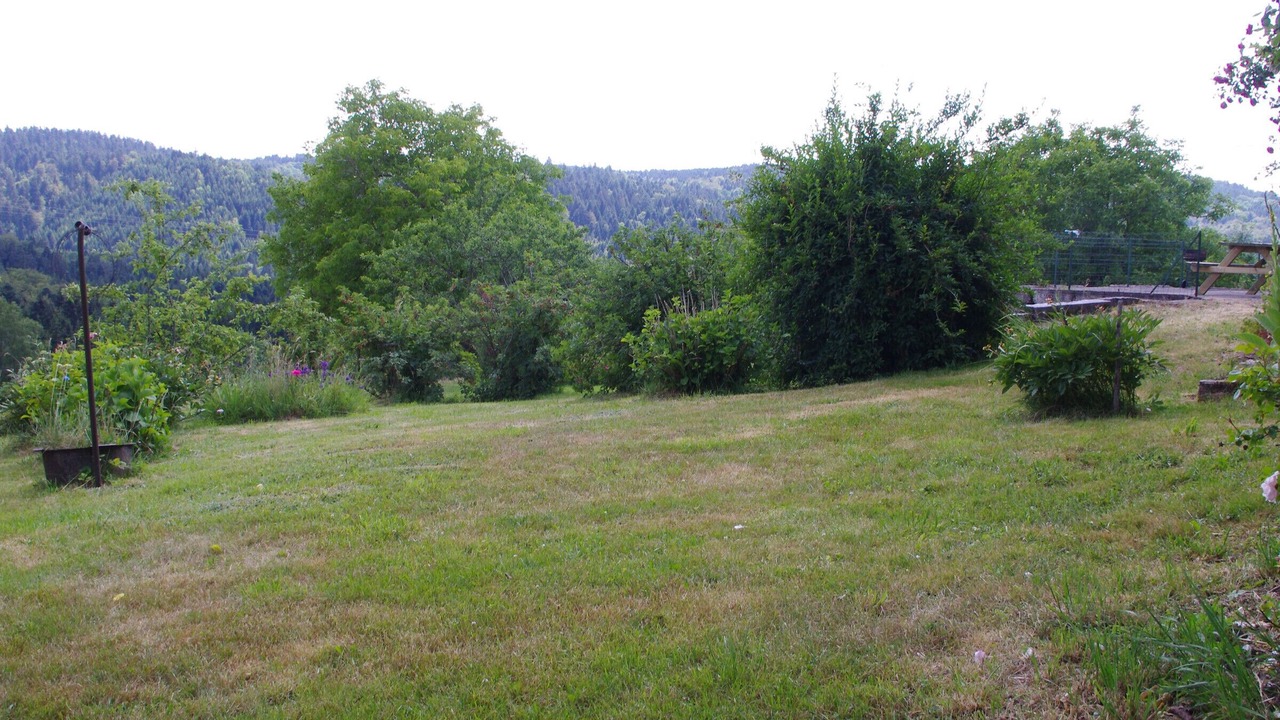 Photo of Outdoor in Rehaupal