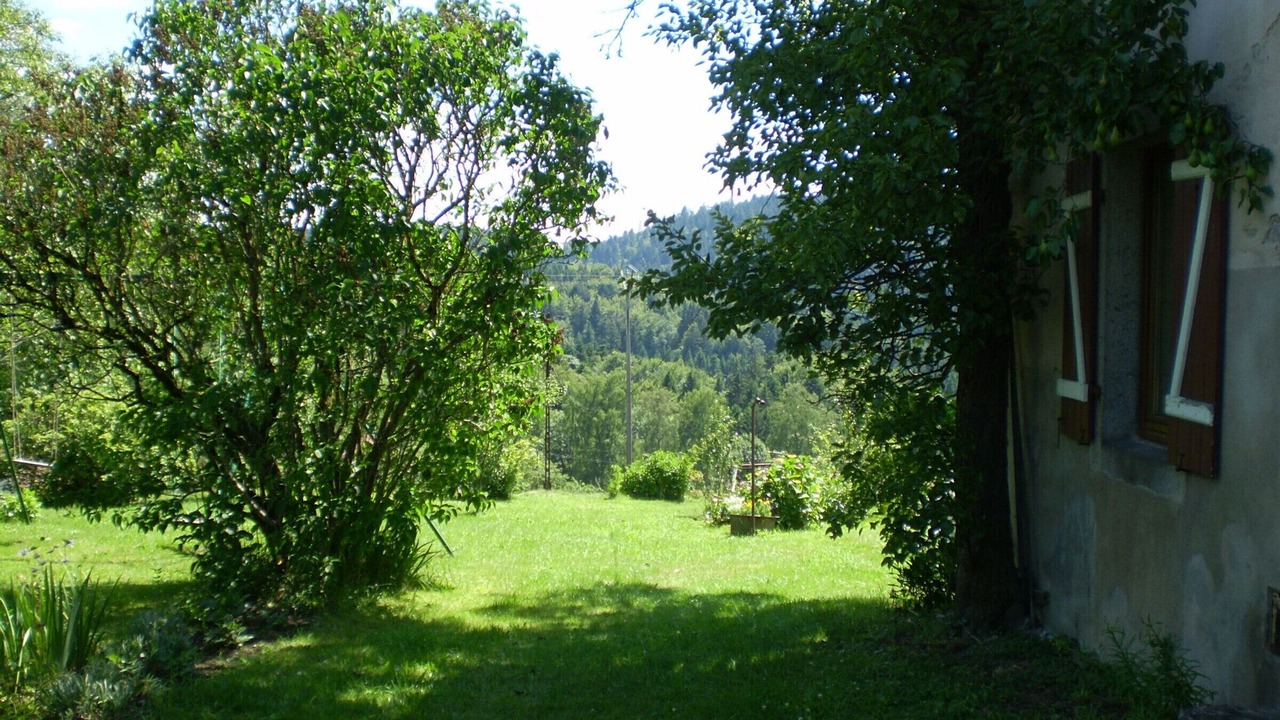 Photo of Outdoor in Rehaupal