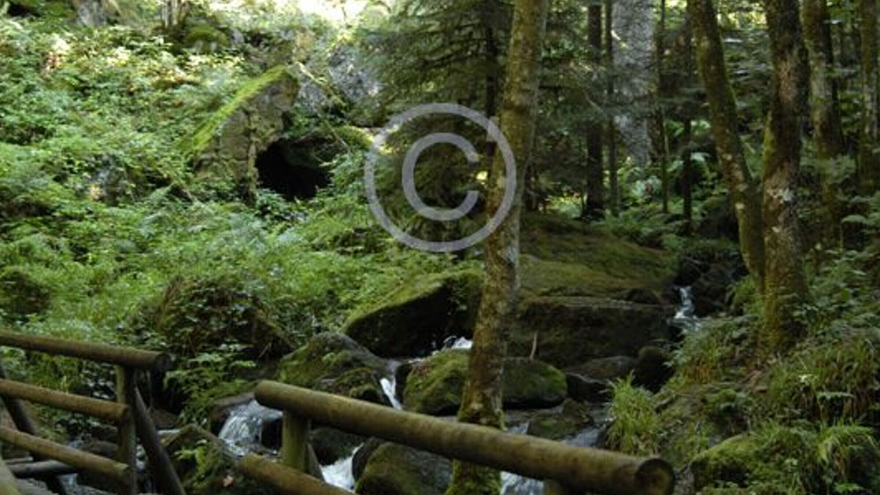 Photo of Outdoor in Rehaupal