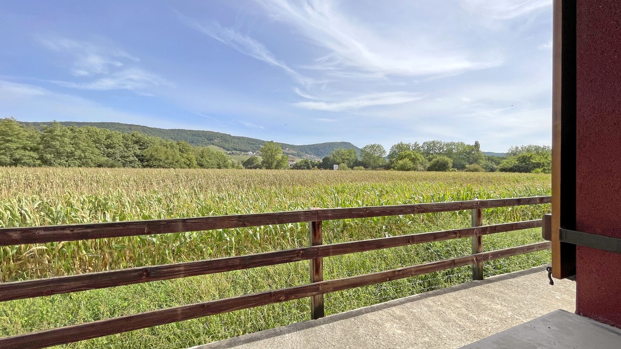 Photo of Outdoor in Ultzama
