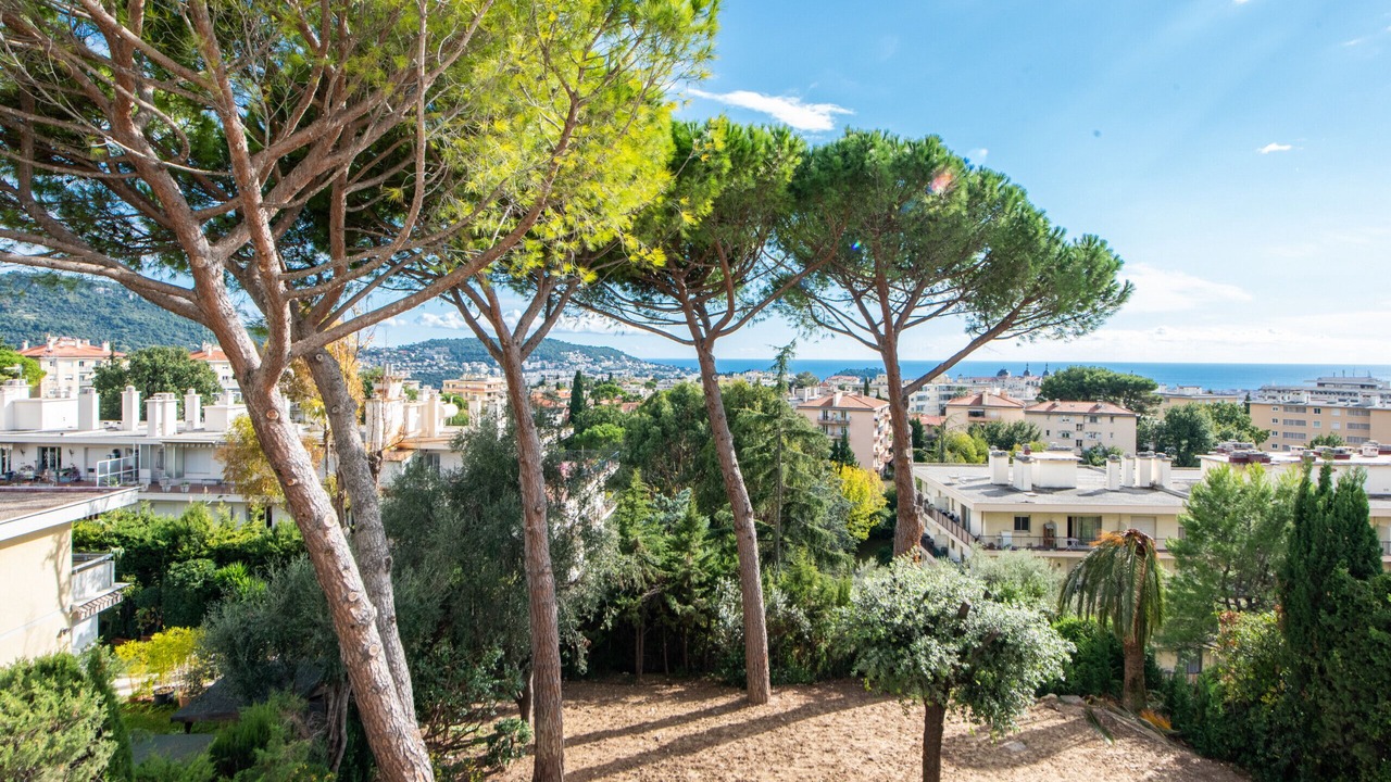 Photo of Others in Nice