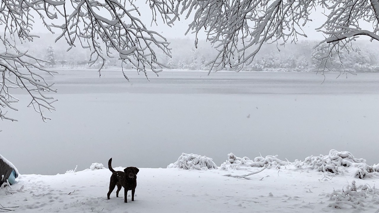 Photo of Outdoor in Rowland