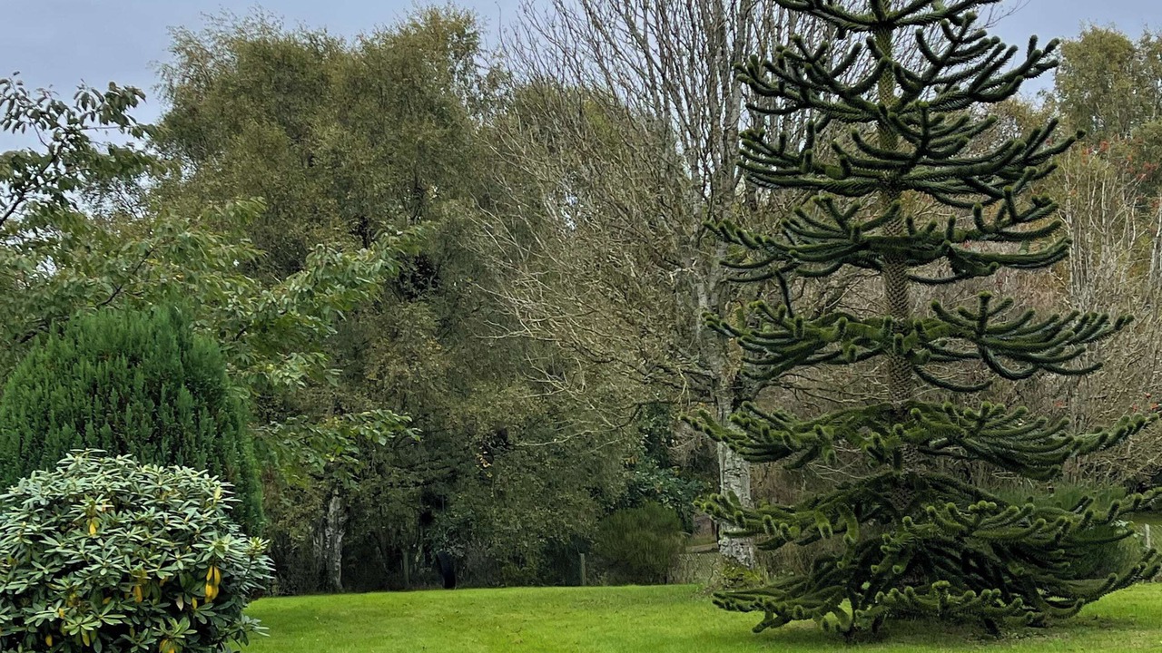 Photo of Outdoor in Balloch