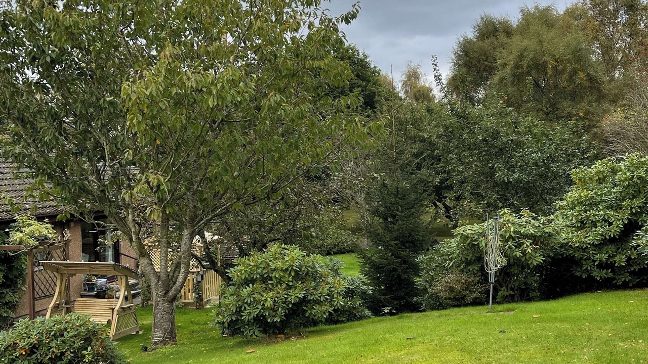 Photo of Outdoor in Balloch