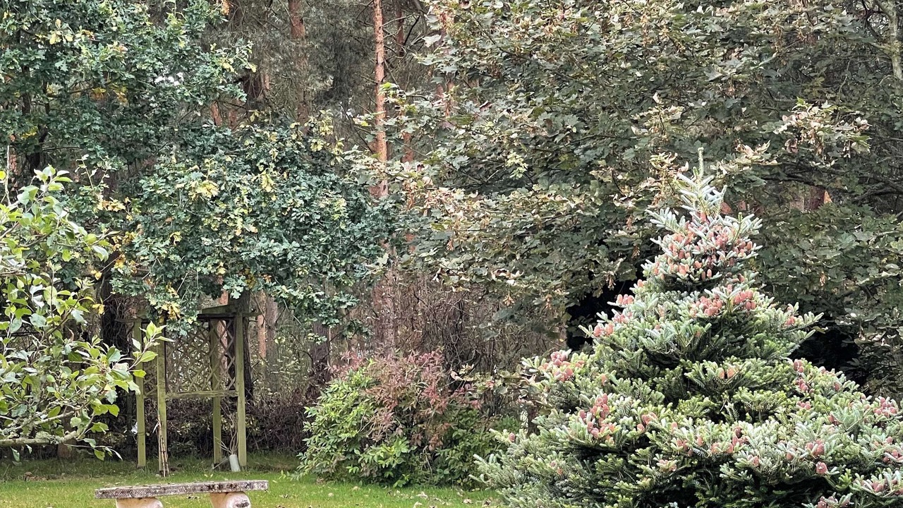 Photo of Outdoor in Balloch