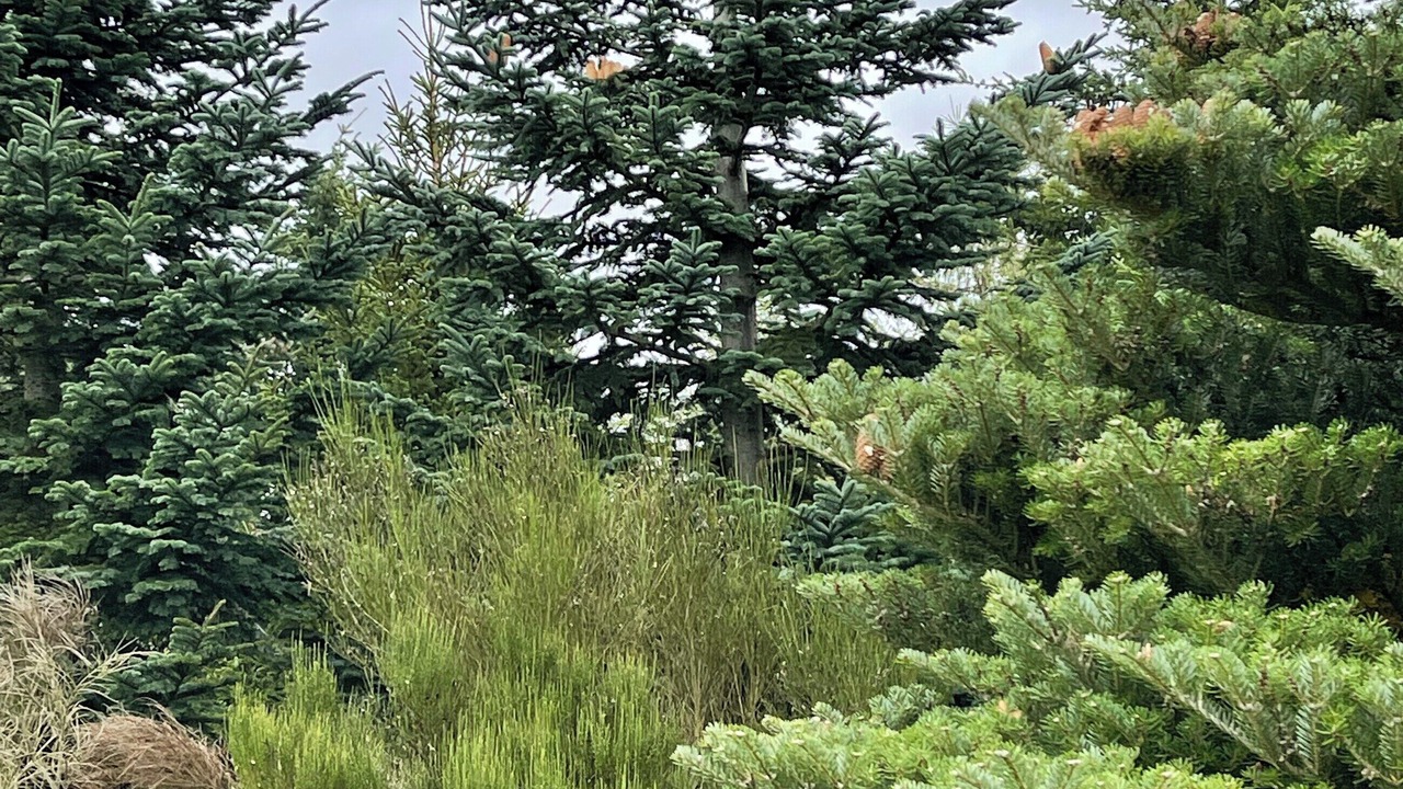 Photo of Outdoor in Balloch