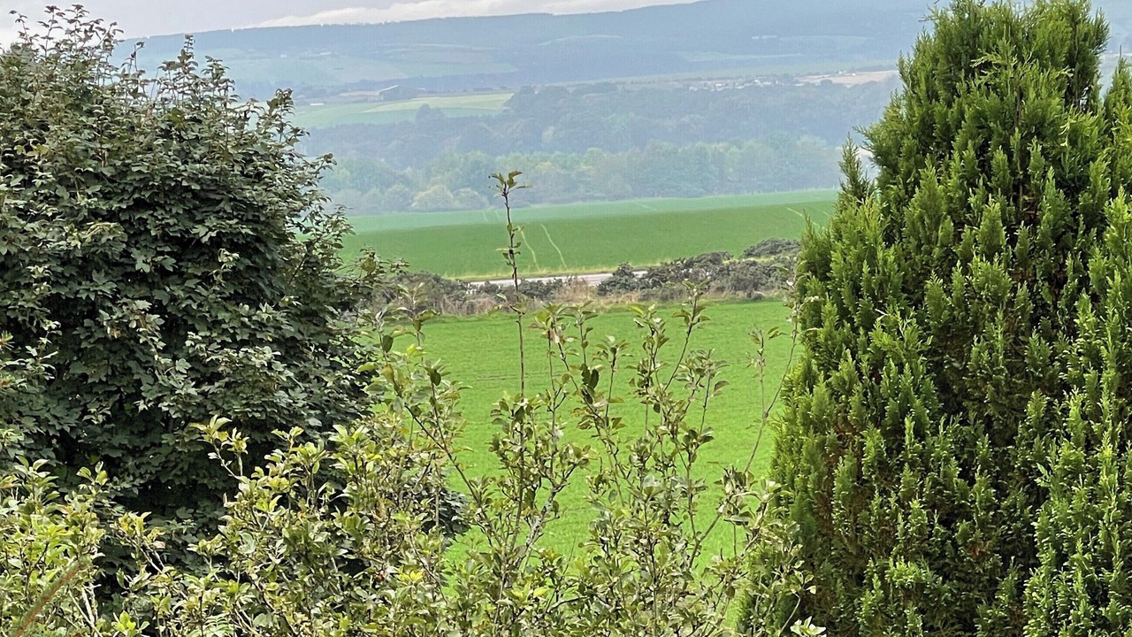 Photo of Outdoor in Balloch