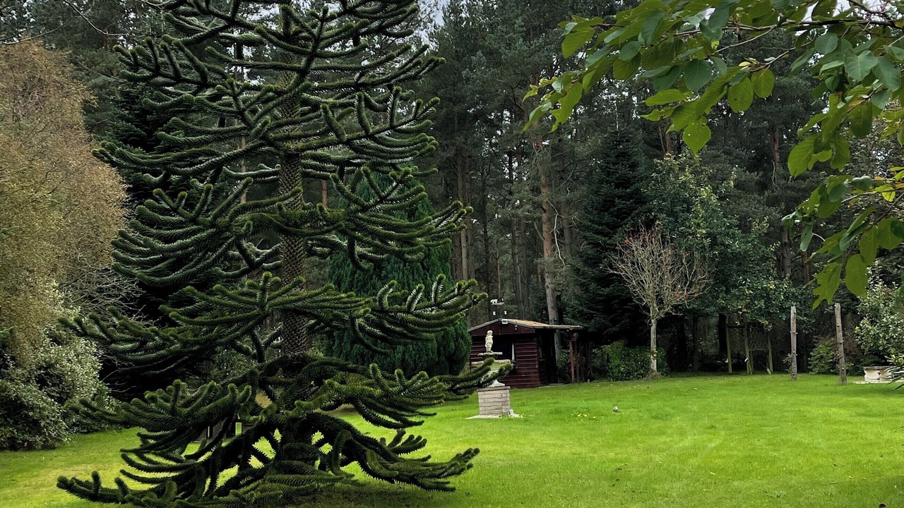 Photo of Outdoor in Balloch