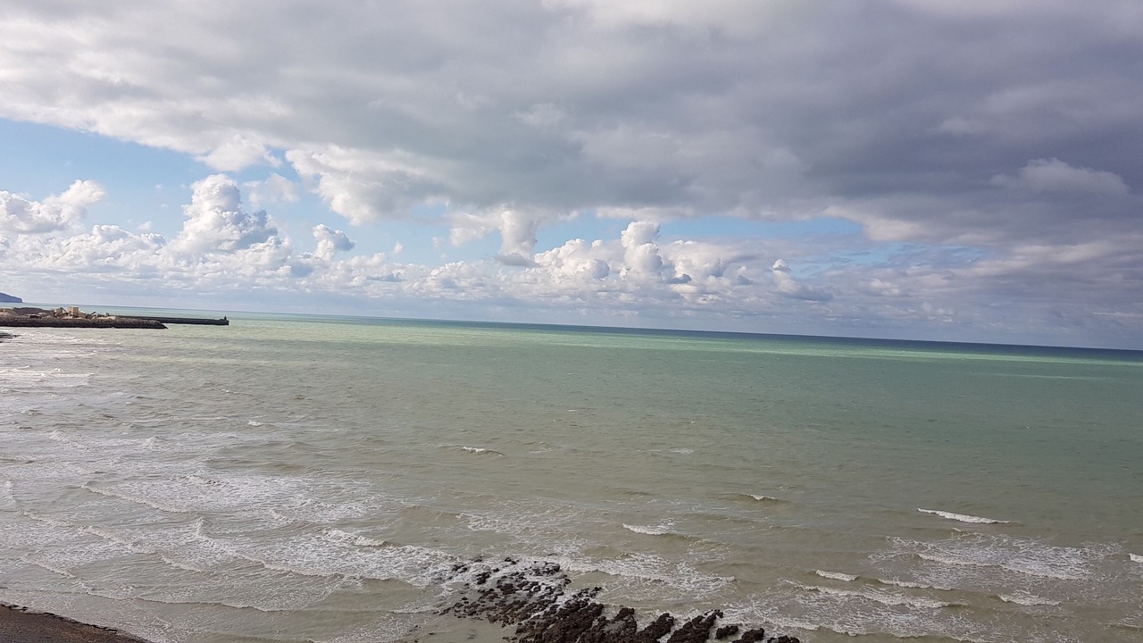 Photo of Others in Dieppe