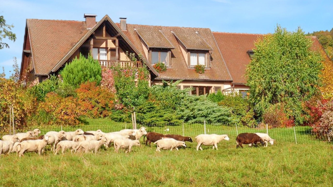 Photo of Outdoor in Thannenkirch