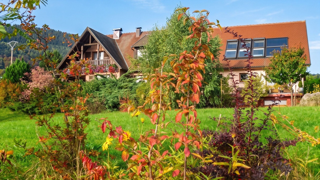 Photo of Outdoor in Thannenkirch