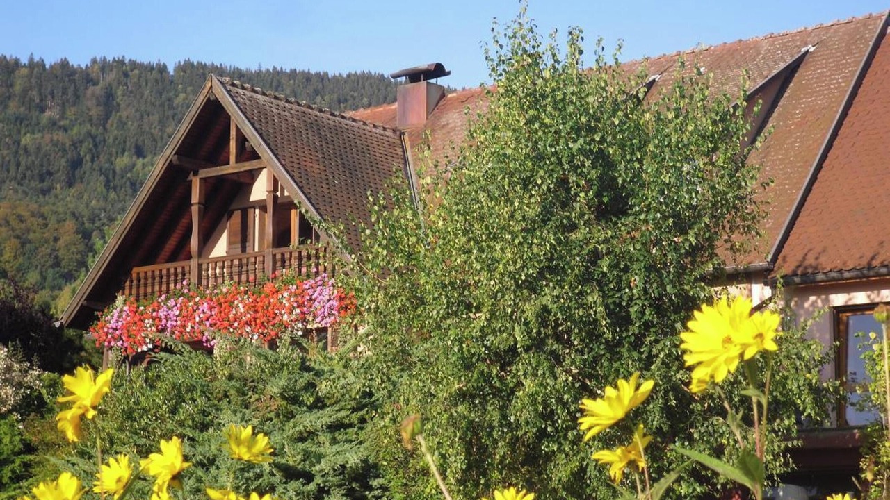 Photo of Others in Thannenkirch