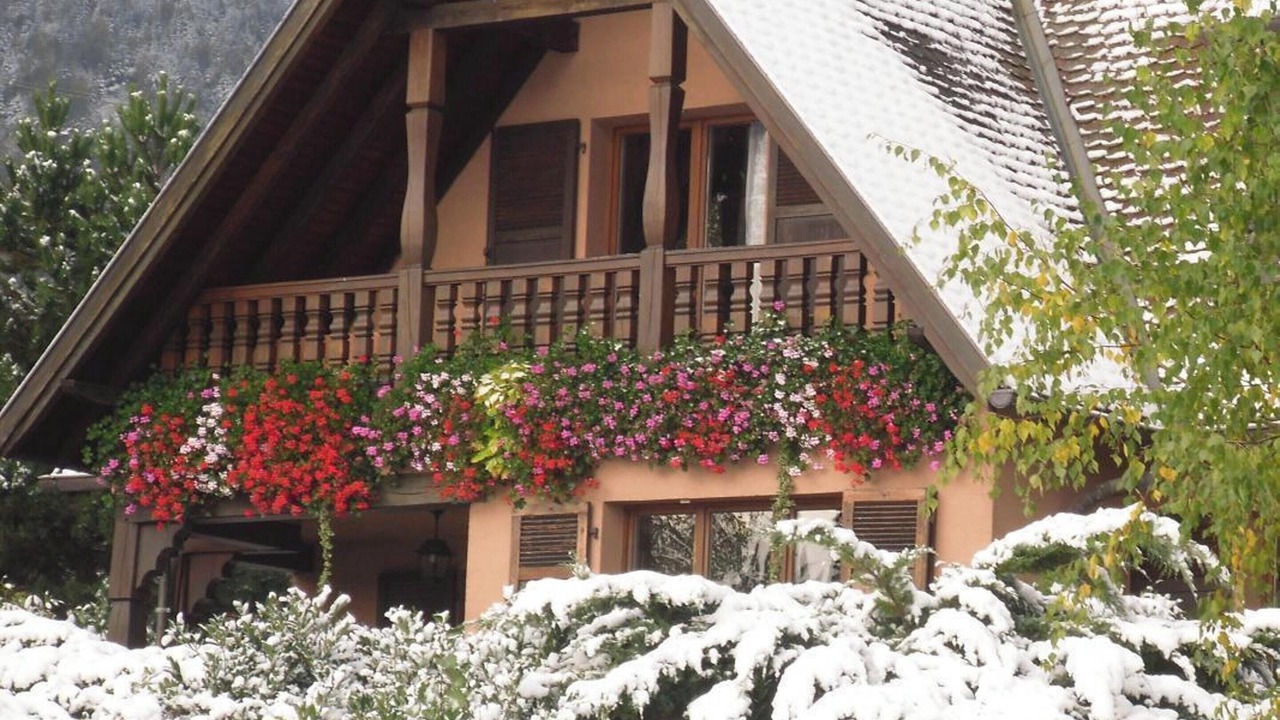 Photo of Others in Thannenkirch