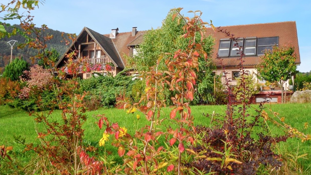 Photo of Outdoor in Thannenkirch