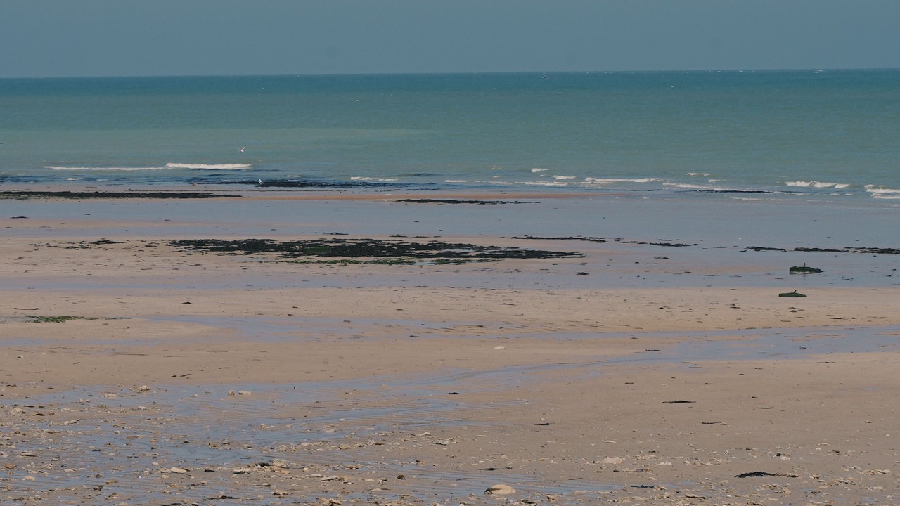 Photo of Others in Luc-sur-Mer