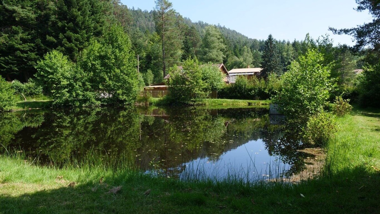 Photo of Outdoor in Bruyeres