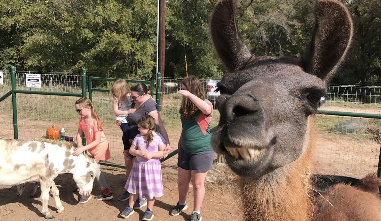 Photo of Others in Dennis