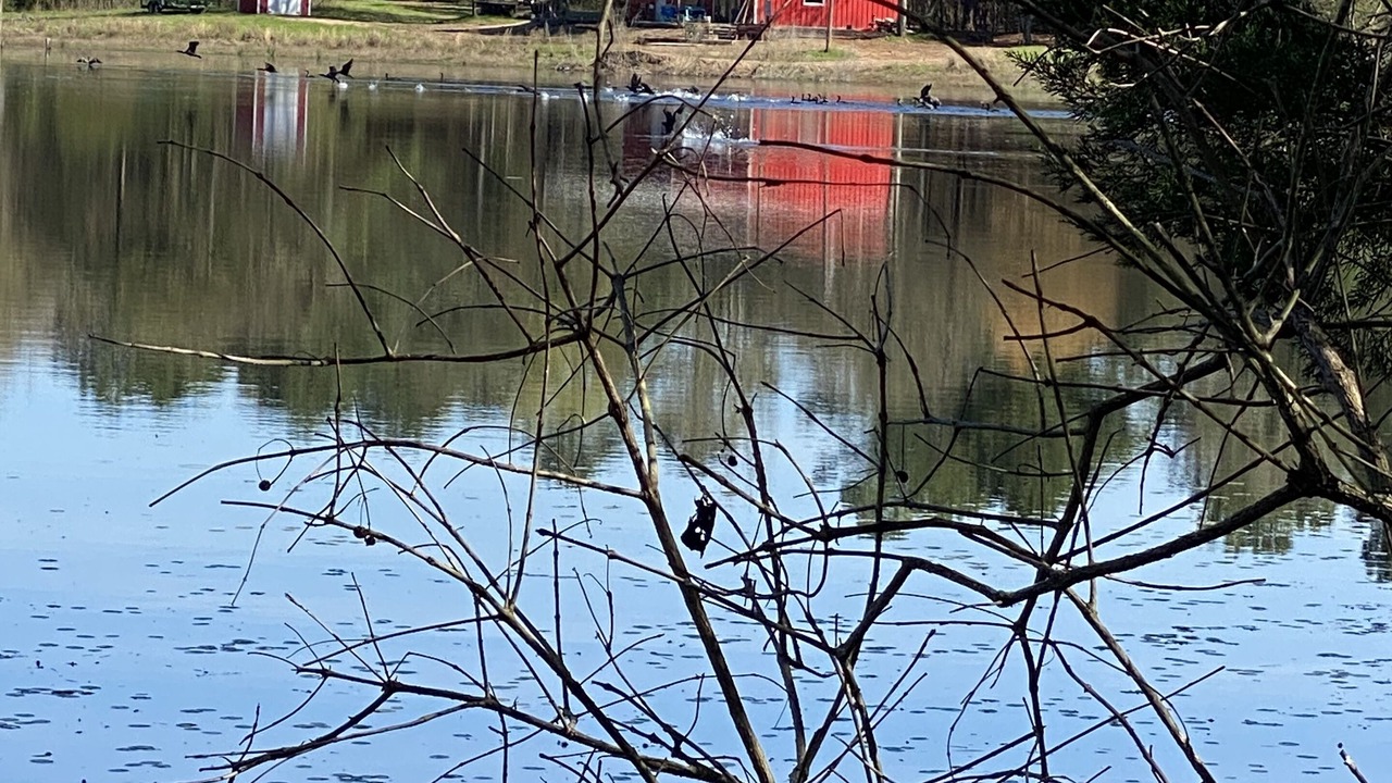 Photo of Outdoor in Pittsburg
