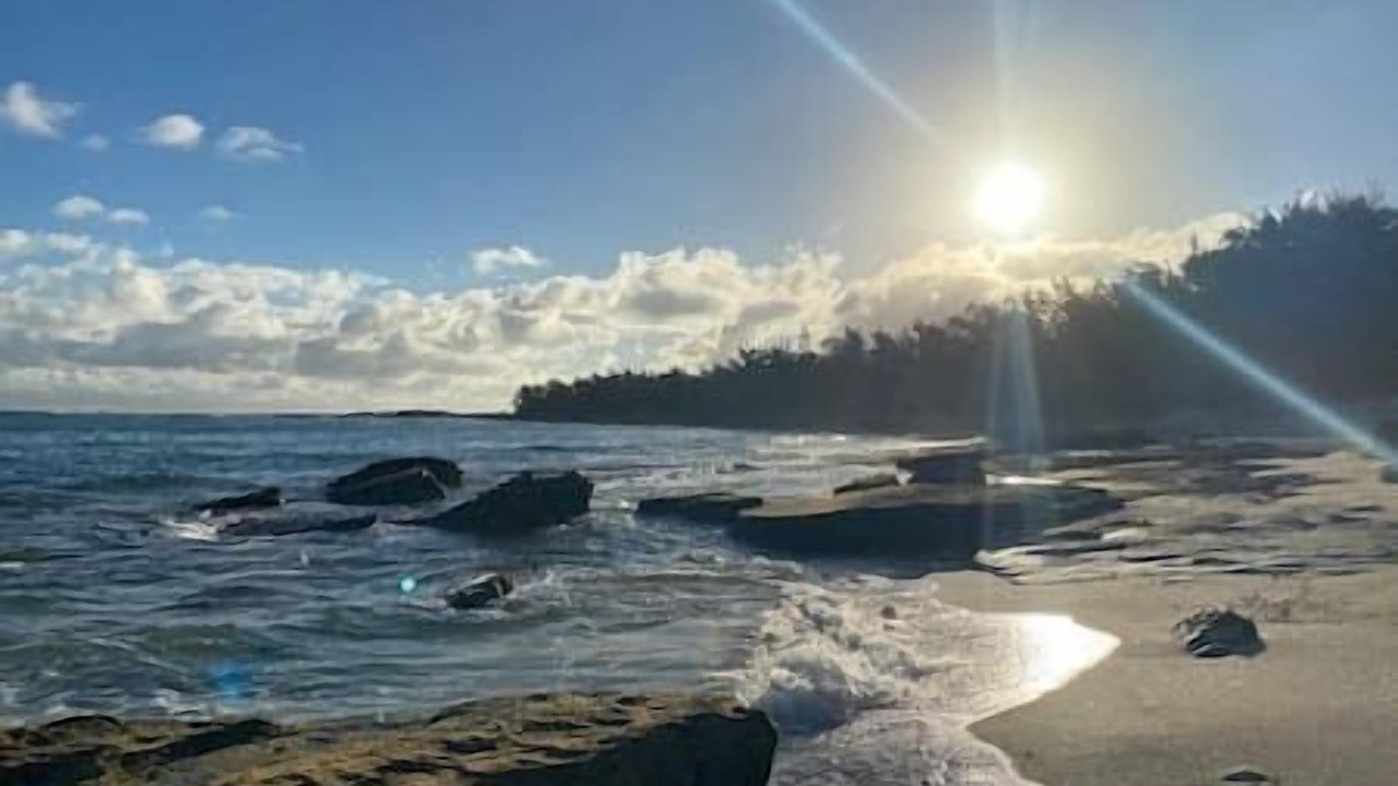 Photo of Others in Kahuku