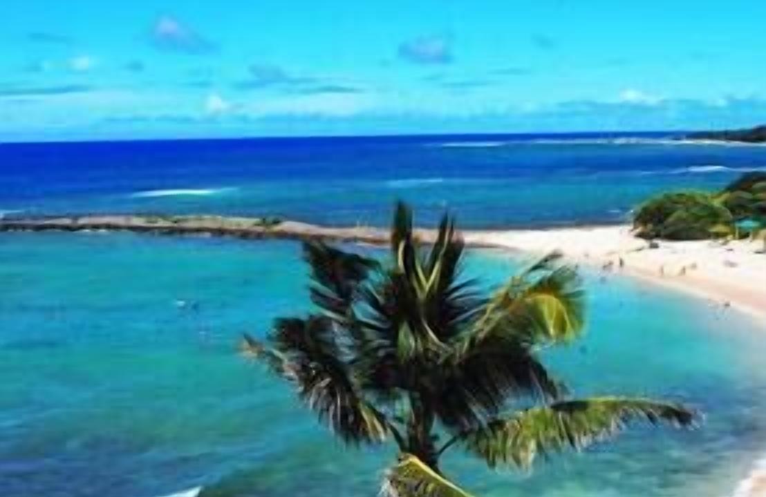 Photo of Others in Kahuku