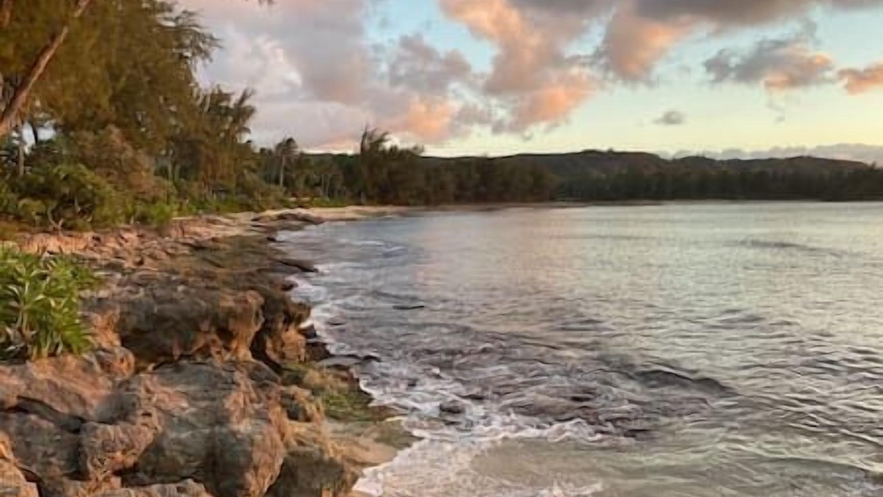 Photo of Others in Kahuku