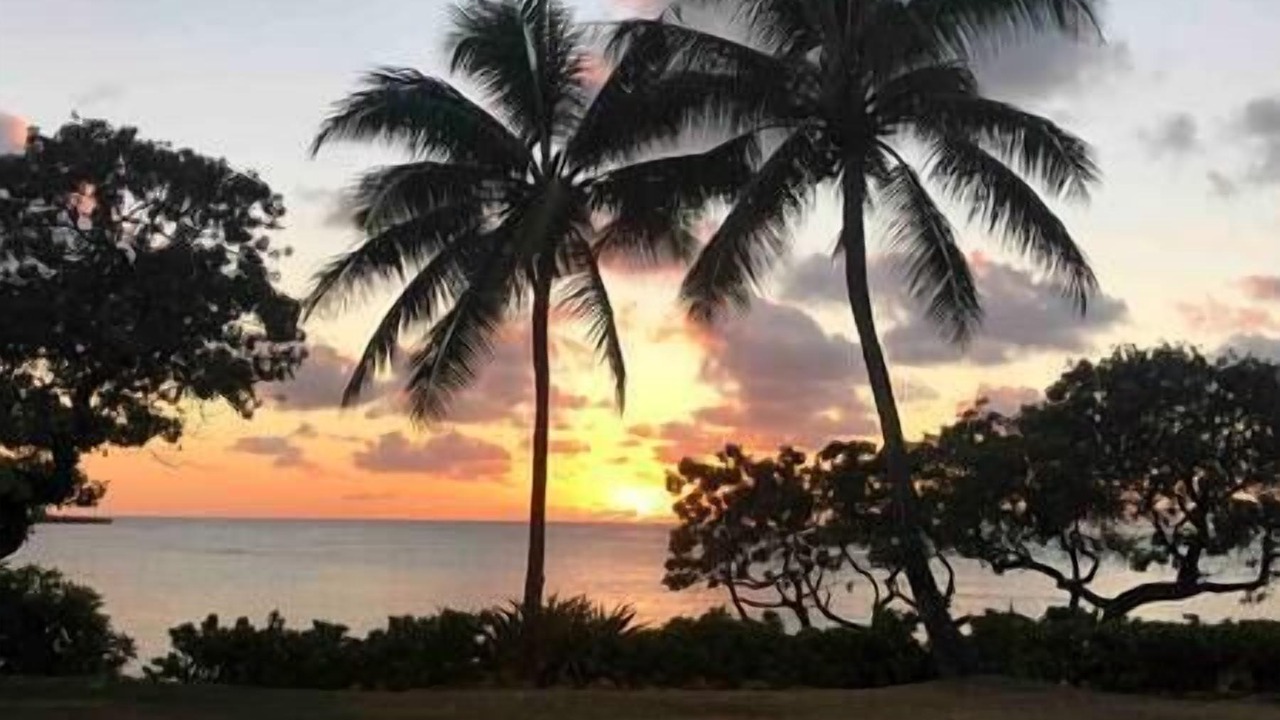 Photo of Outdoor in Kahuku