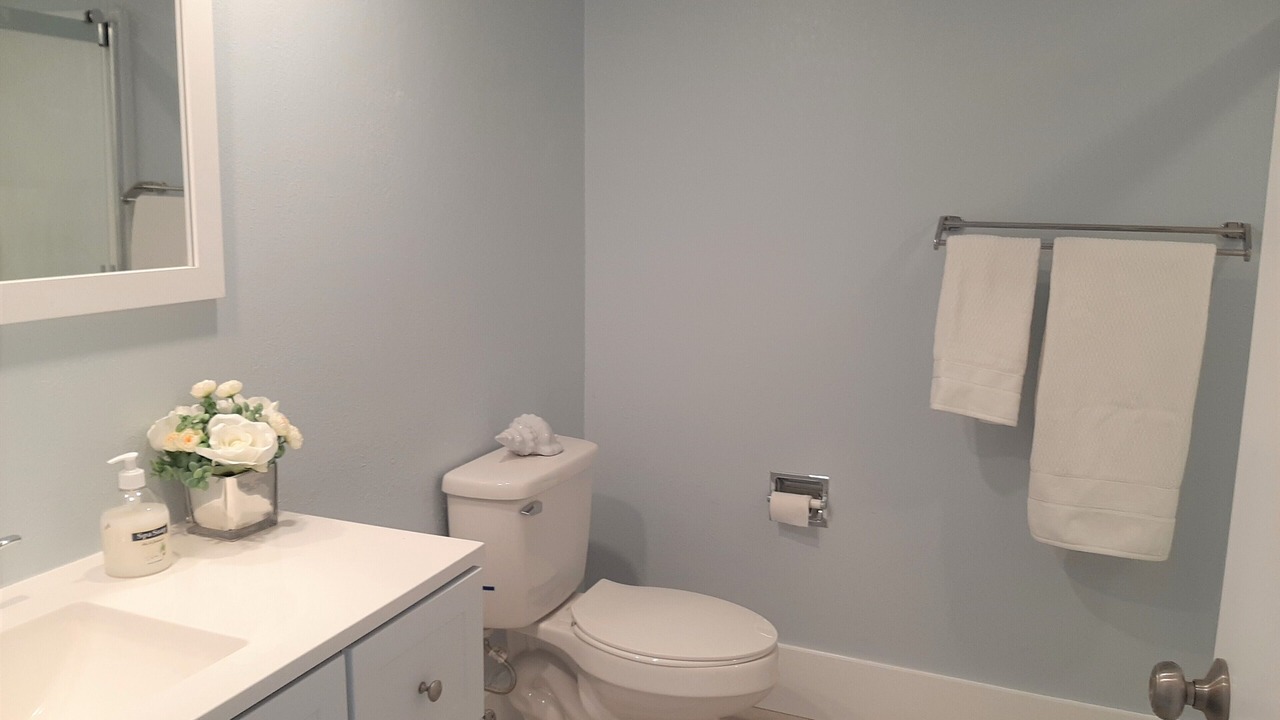 Photo of Bathroom in Wesley Chapel