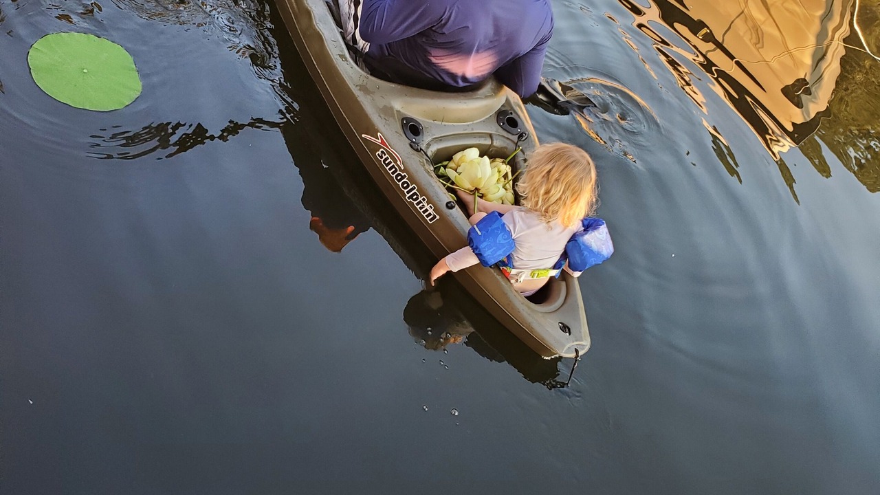 Photo of Others in Lone Star