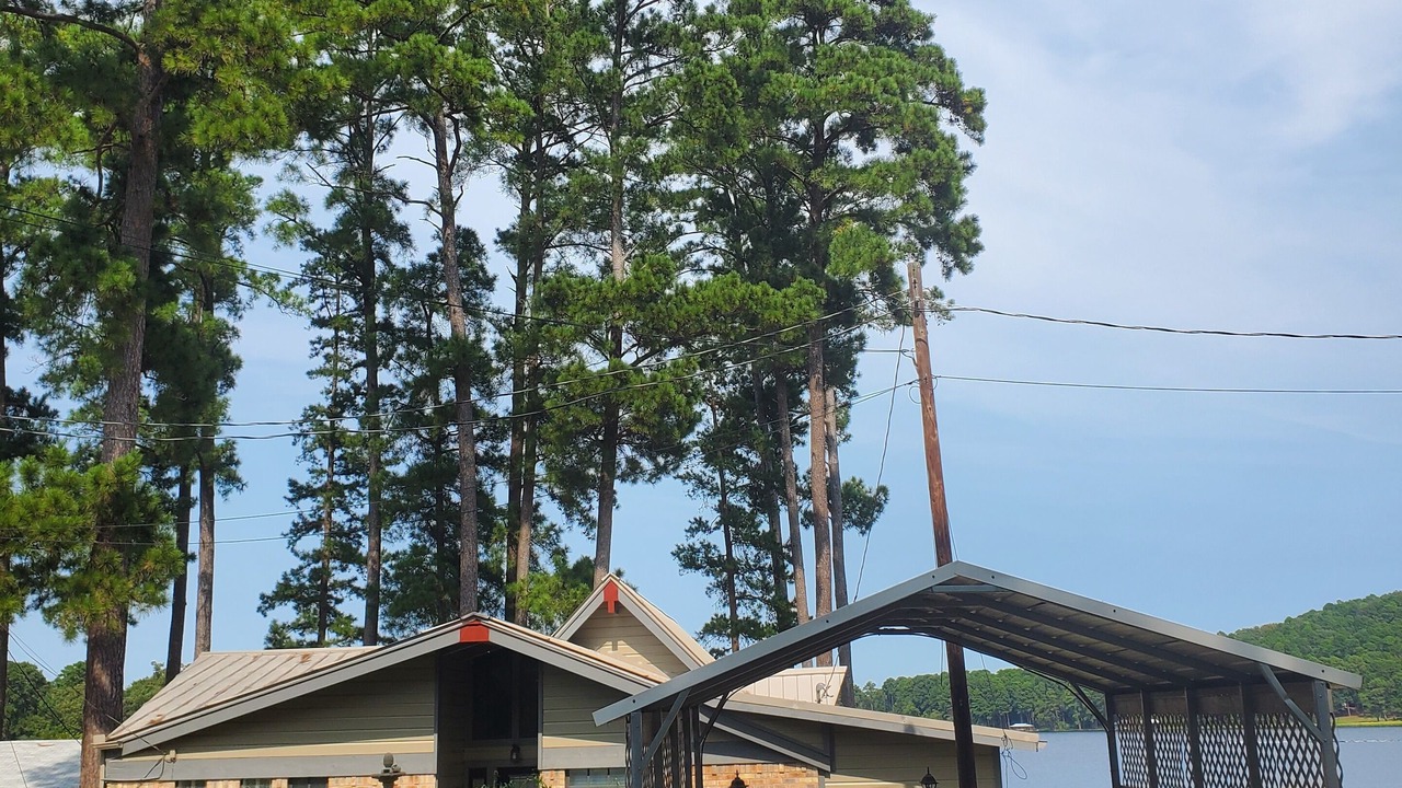 Photo of Outdoor in Lone Star