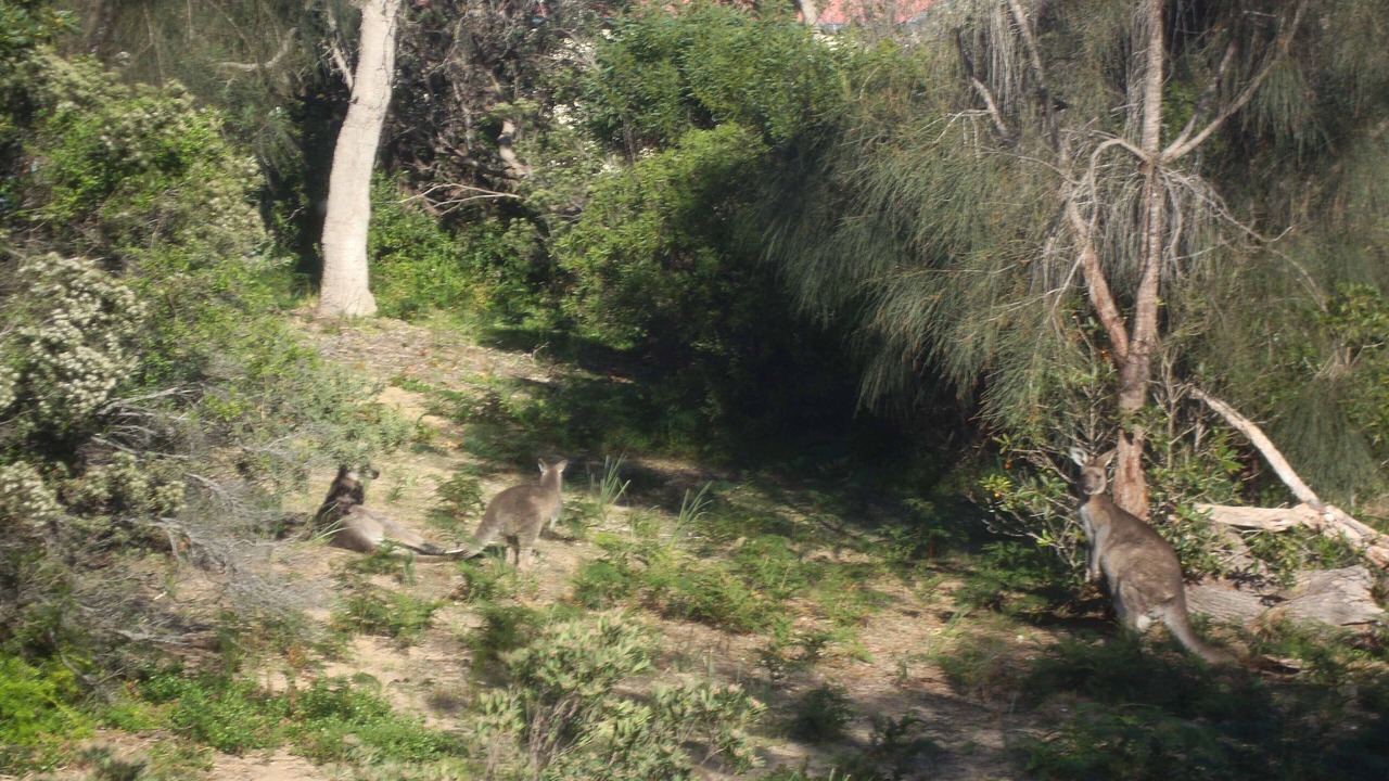 Photo of Outdoor in Paradise Beach