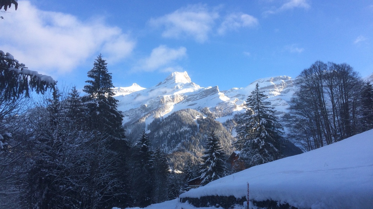 Photo of Others in Ormont-Dessus