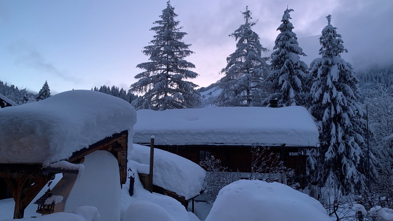 Photo of Outdoor in Ormont-Dessus