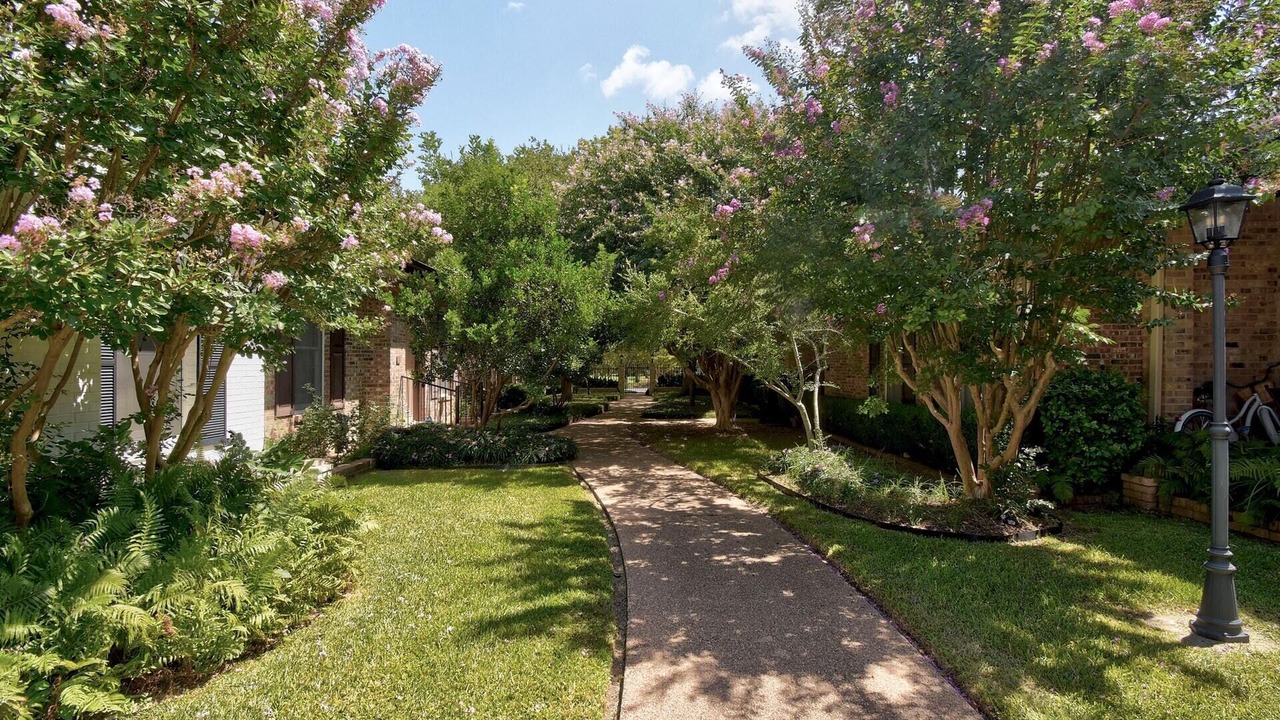 Photo of Outdoor in Austin