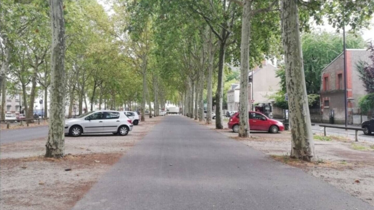 Photo of Others in Bourgogne