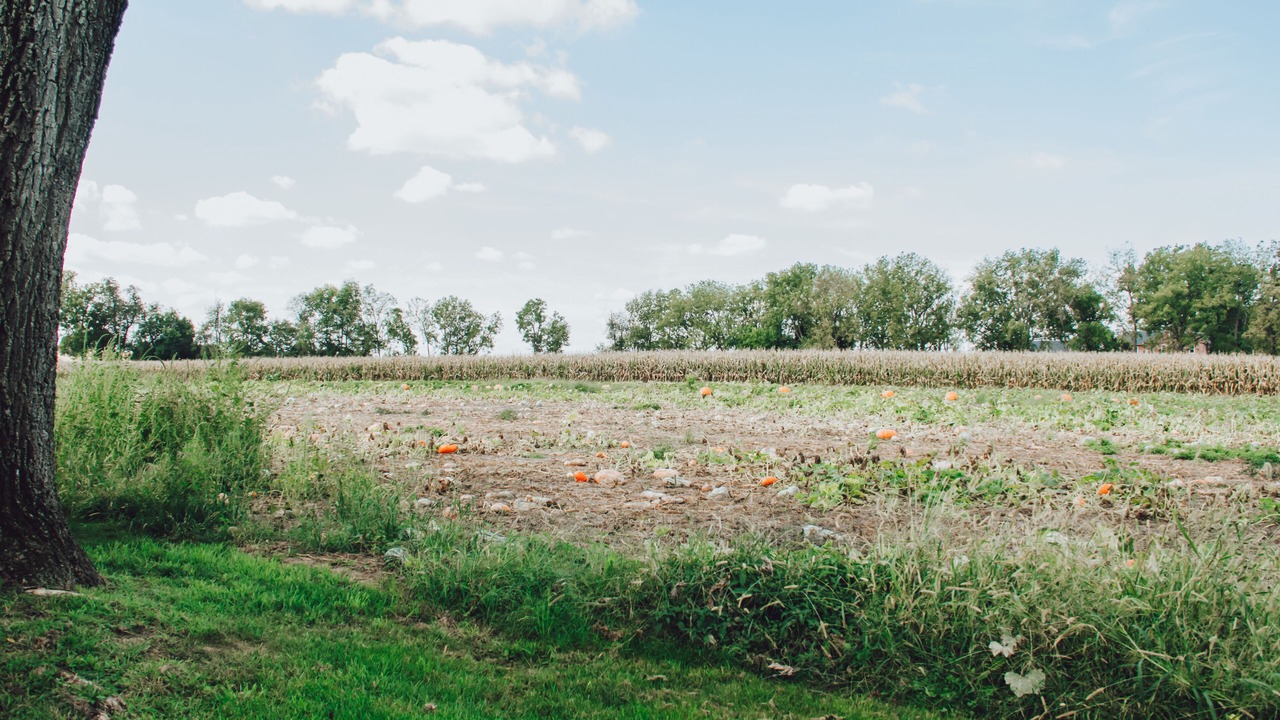 Photo of Outdoor in Ronks