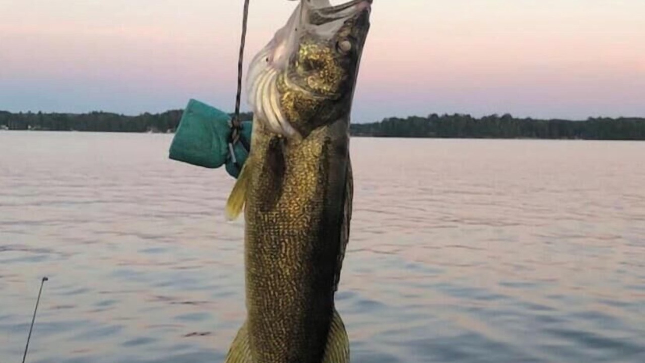 Photo of Others in Chisholm